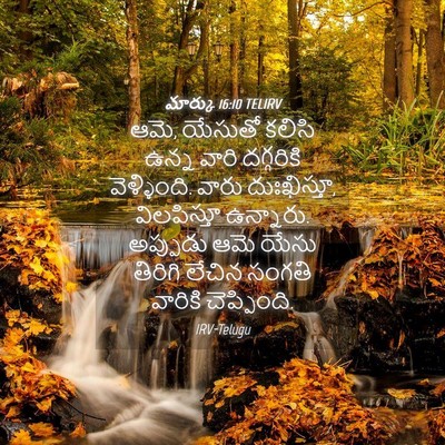 Picture 04 - మార్కు 16:10 TELIRV - ఆమె, యేసుతో కలిసి - Bible Verse Picture