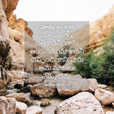 Picture 04 - మార్కు 16:11 TELIRV - యేసు మళ్ళీ - Bible Verse Picture