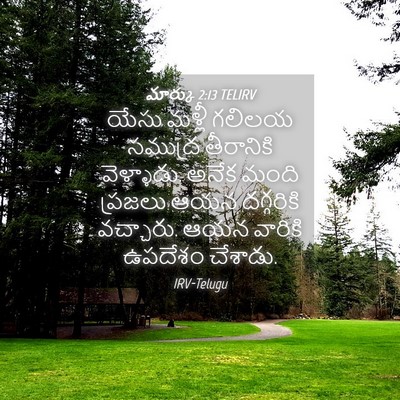 Picture 04 - మార్కు 2:13 TELIRV - యేసు మళ్లీ గలిలయ - Bible Verse Picture