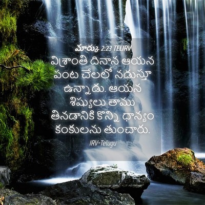 Picture 04 - మార్కు 2:23 TELIRV - విశ్రాంతి దినాన - Bible Verse Picture