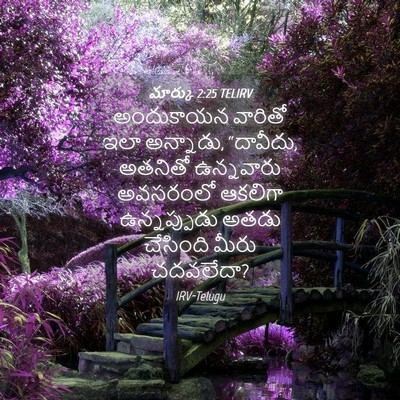 Picture 04 - మార్కు 2:25 TELIRV - అందుకాయన వారితో - Bible Verse Picture