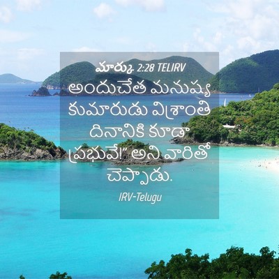 Picture 04 - మార్కు 2:28 TELIRV - అందుచేత మనుష్య - Bible Verse Picture