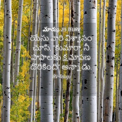 Picture 04 - మార్కు 2:5 TELIRV - యేసు వారి - Bible Verse Picture