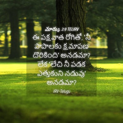 Picture 04 - మార్కు 2:9 TELIRV - ఈ పక్షవాత రోగితో, - Bible Verse Picture