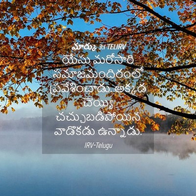 Picture 04 - మార్కు 3:1 TELIRV - యేసు మరోసారి - Bible Verse Picture