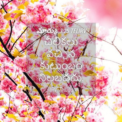 Picture 04 - మార్కు 3:25 TELIRV - చీలికలు వచ్చిన - Bible Verse Picture