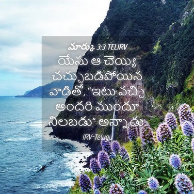 Picture 04 - మార్కు 3:3 TELIRV - యేసు ఆ చెయ్యి - Bible Verse Picture