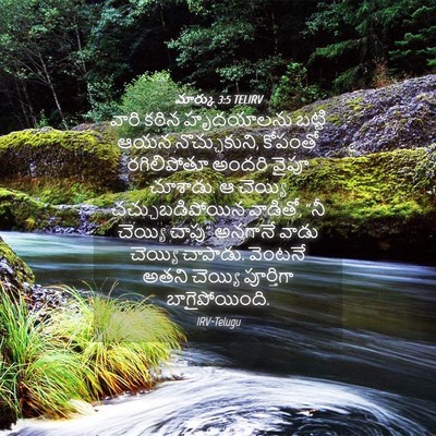 Picture 04 - మార్కు 3:5 TELIRV - వారి కఠిన - Bible Verse Picture