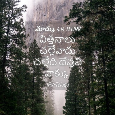 Picture 04 - మార్కు 4:14 TELIRV - విత్తనాలు - Bible Verse Picture