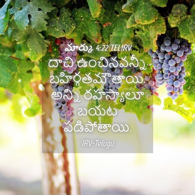 Picture 04 - మార్కు 4:22 TELIRV - దాచి ఉంచినవన్నీ - Bible Verse Picture