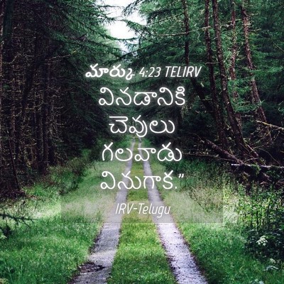 Picture 04 - మార్కు 4:23 TELIRV - వినడానికి చెవులు - Bible Verse Picture