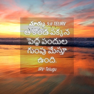Picture 04 - మార్కు 5:11 TELIRV - ఆ కొండ పక్కన పెద్ద - Bible Verse Picture