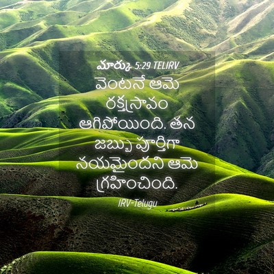 Picture 04 - మార్కు 5:29 TELIRV - వెంటనే ఆమె - Bible Verse Picture