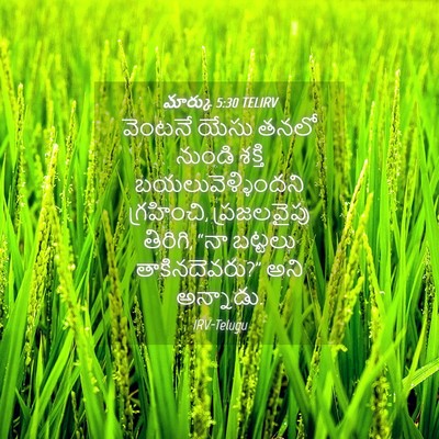 Picture 04 - మార్కు 5:30 TELIRV - వెంటనే యేసు తనలో - Bible Verse Picture