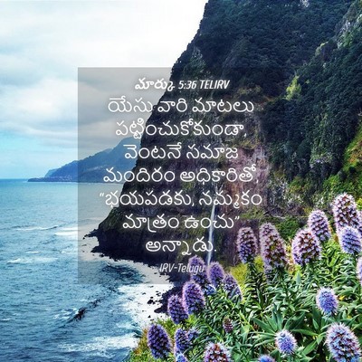 Picture 04 - మార్కు 5:36 TELIRV - యేసు వారి మాటలు - Bible Verse Picture