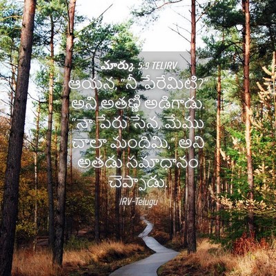 Picture 04 - మార్కు 5:9 TELIRV - ఆయన, “నీ పేరేమిటి?” - Bible Verse Picture