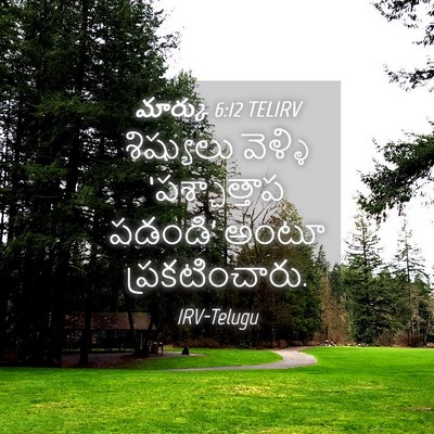 Picture 04 - మార్కు 6:12 TELIRV - శిష్యులు వెళ్ళి - Bible Verse Picture