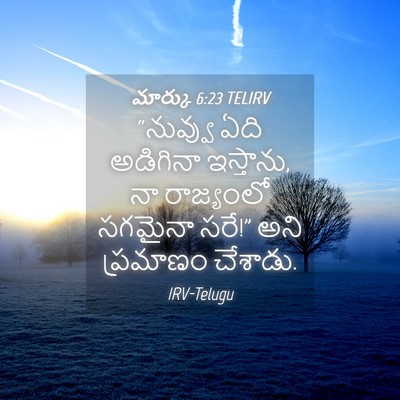 Picture 04 - మార్కు 6:23 TELIRV - “నువ్వు ఏది - Bible Verse Picture