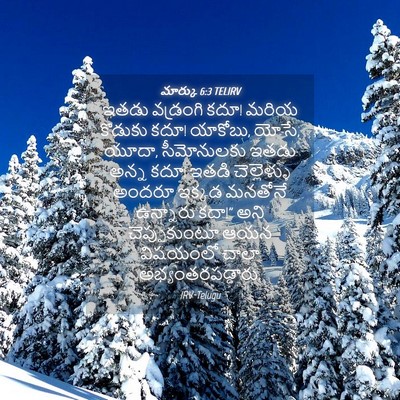 Picture 04 - మార్కు 6:3 TELIRV - ఇతడు వడ్రంగి కదూ! - Bible Verse Picture