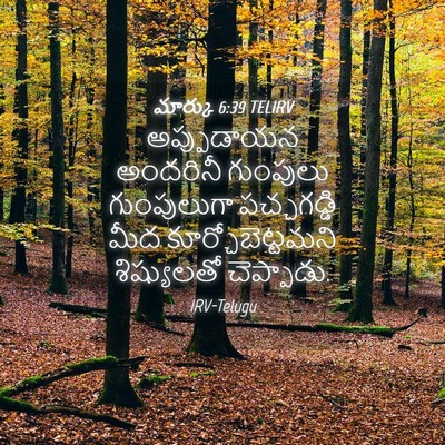 Picture 04 - మార్కు 6:39 TELIRV - అప్పుడాయన అందరినీ - Bible Verse Picture