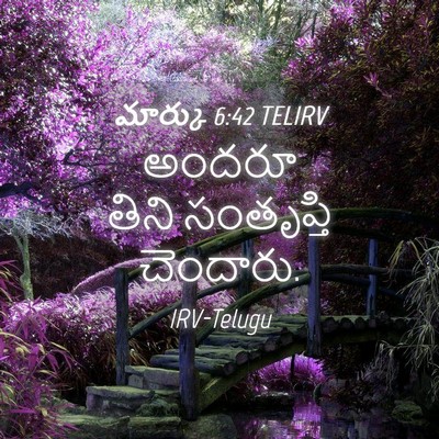 Picture 04 - మార్కు 6:42 TELIRV - అందరూ తిని - Bible Verse Picture