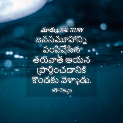Picture 04 - మార్కు 6:46 TELIRV - జనసమూహాన్ని - Bible Verse Picture