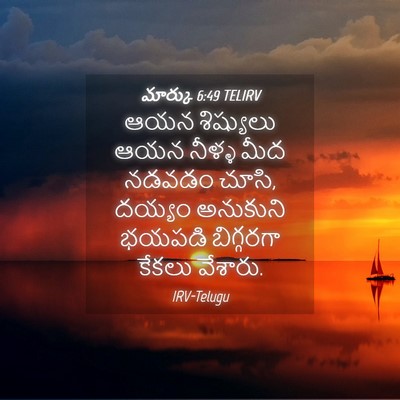 Picture 04 - మార్కు 6:49 TELIRV - ఆయన శిష్యులు ఆయన - Bible Verse Picture