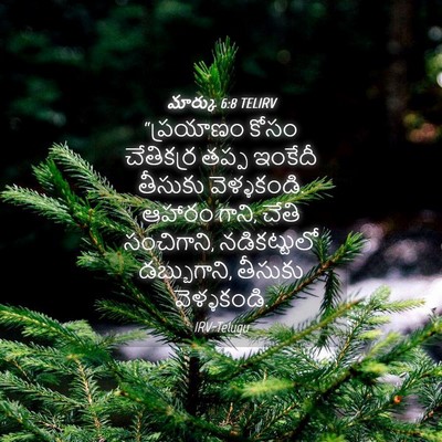 Picture 04 - మార్కు 6:8 TELIRV - “ప్రయాణం కోసం - Bible Verse Picture