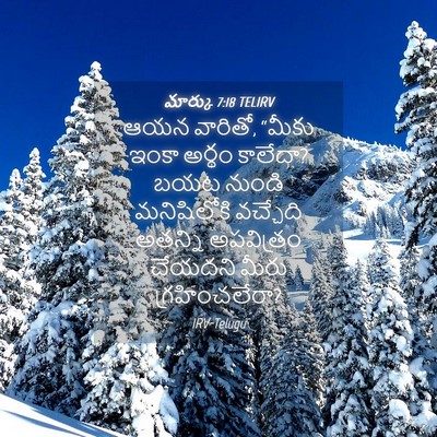 Picture 04 - మార్కు 7:18 TELIRV - ఆయన వారితో, “మీకు - Bible Verse Picture