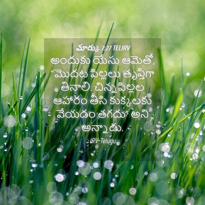 Picture 04 - మార్కు 7:27 TELIRV - అందుకు యేసు ఆమెతో, - Bible Verse Picture