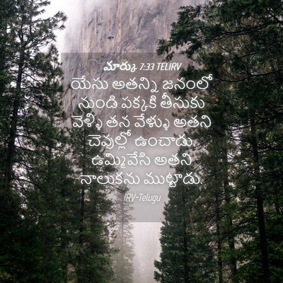 Picture 04 - మార్కు 7:33 TELIRV - యేసు అతన్ని జనంలో - Bible Verse Picture