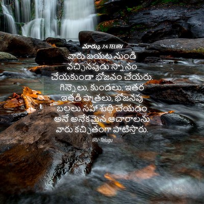 Picture 04 - మార్కు 7:4 TELIRV - వారు బయట నుండి - Bible Verse Picture