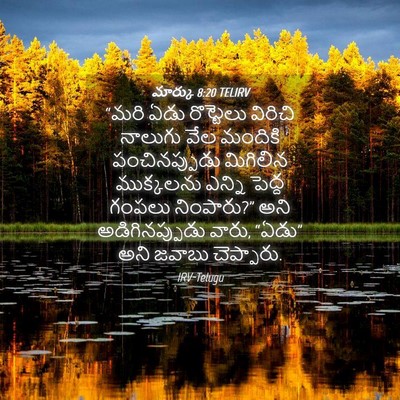 Picture 04 - మార్కు 8:20 TELIRV - “మరి ఏడు రొట్టెలు - Bible Verse Picture