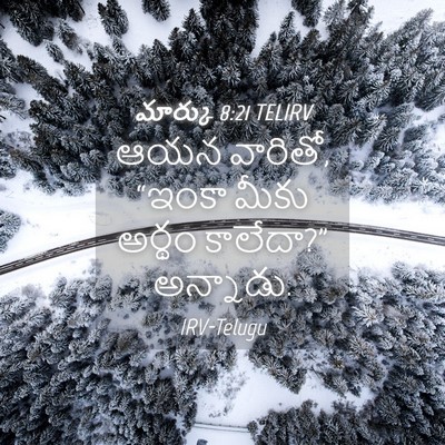 Picture 04 - మార్కు 8:21 TELIRV - ఆయన వారితో, “ఇంకా - Bible Verse Picture