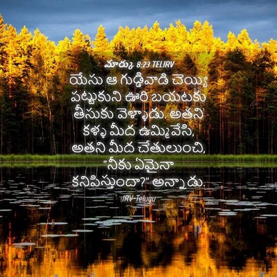 Picture 04 - మార్కు 8:23 TELIRV - యేసు ఆ గుడ్డివాడి - Bible Verse Picture