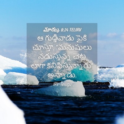 Picture 04 - మార్కు 8:24 TELIRV - ఆ గుడ్డివాడు పైకి - Bible Verse Picture