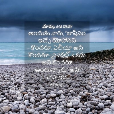 Picture 04 - మార్కు 8:28 TELIRV - అందుకు వారు, - Bible Verse Picture