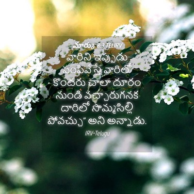 Picture 04 - మార్కు 8:3 TELIRV - వారిని ఇప్పుడు - Bible Verse Picture