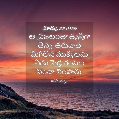 Picture 04 - మార్కు 8:8 TELIRV - ఆ ప్రజలంతా - Bible Verse Picture