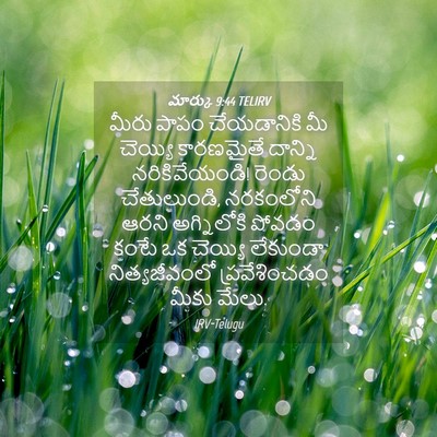 Picture 04 - మార్కు 9:44 TELIRV - మీరు పాపం - Bible Verse Picture
