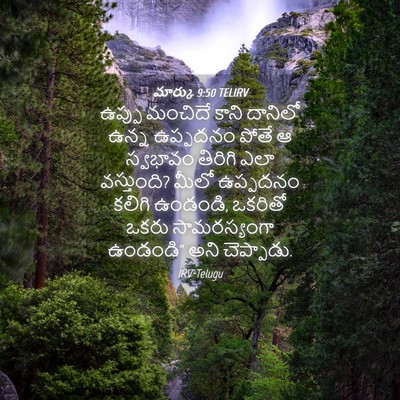 Picture 04 - మార్కు 9:50 TELIRV - ఉప్పు మంచిదే కాని - Bible Verse Picture