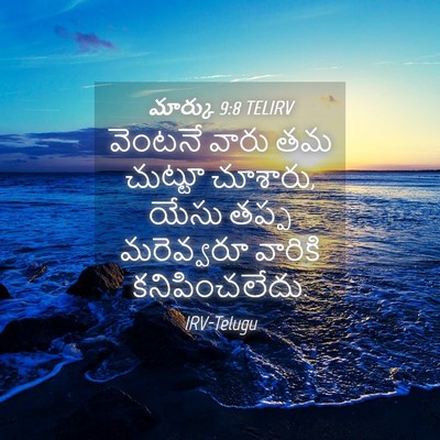 Picture 04 - మార్కు 9:8 TELIRV - వెంటనే వారు తమ - Bible Verse Picture