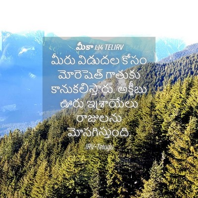Picture 04 - మీకా 1:14 TELIRV - మీరు విడుదల కోసం - Bible Verse Picture