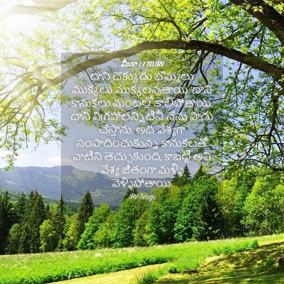 Picture 04 - మీకా 1:7 TELIRV - దాని చెక్కుడు - Bible Verse Picture