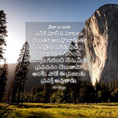 Picture 04 - మీకా 2:11 TELIRV - పనికి మాలిన మాటలు - Bible Verse Picture