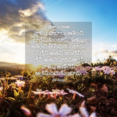 Picture 04 - మీకా 2:2 TELIRV - వాళ్ళు పొలాలు - Bible Verse Picture