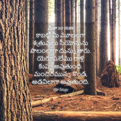 Picture 04 - మీకా 3:12 TELIRV - కాబట్టి మీ మూలంగా - Bible Verse Picture