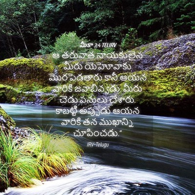 Picture 04 - మీకా 3:4 TELIRV - ఆ తరువాత నాయకులైన - Bible Verse Picture