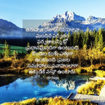 Picture 04 - మీకా 4:1 TELIRV - తరువాత రోజుల్లో - Bible Verse Picture