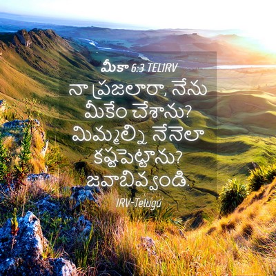 Picture 04 - మీకా 6:3 TELIRV - నా ప్రజలారా, నేను - Bible Verse Picture